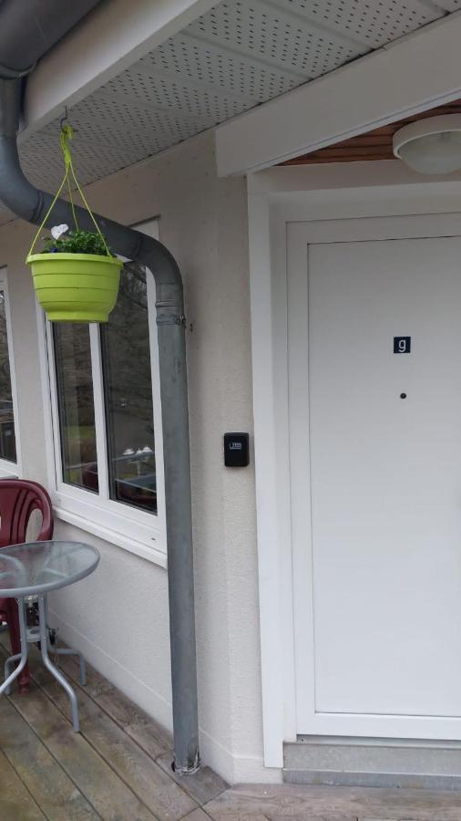 Ferienwohnung Am Stadtwald Freiberg Exteriör bild